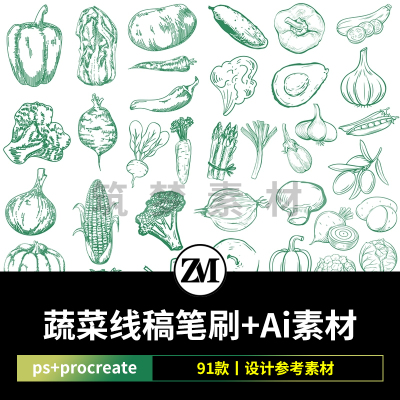 procreate笔刷蔬菜水彩线稿番茄临摹ai矢量图水果手绘ps画笔素材