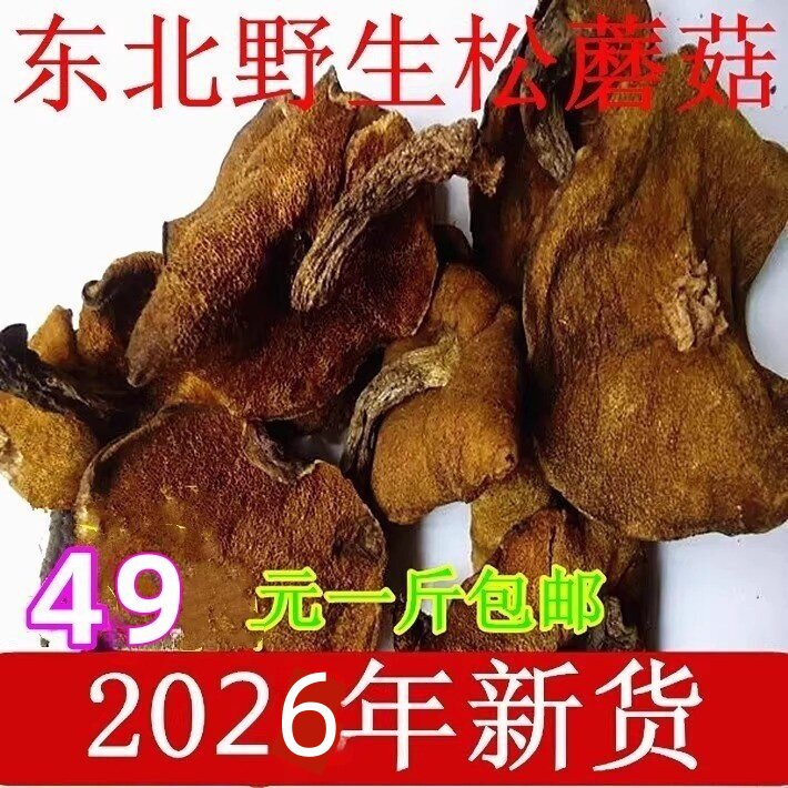 东北特产松蘑菇野生粘团子食用菌