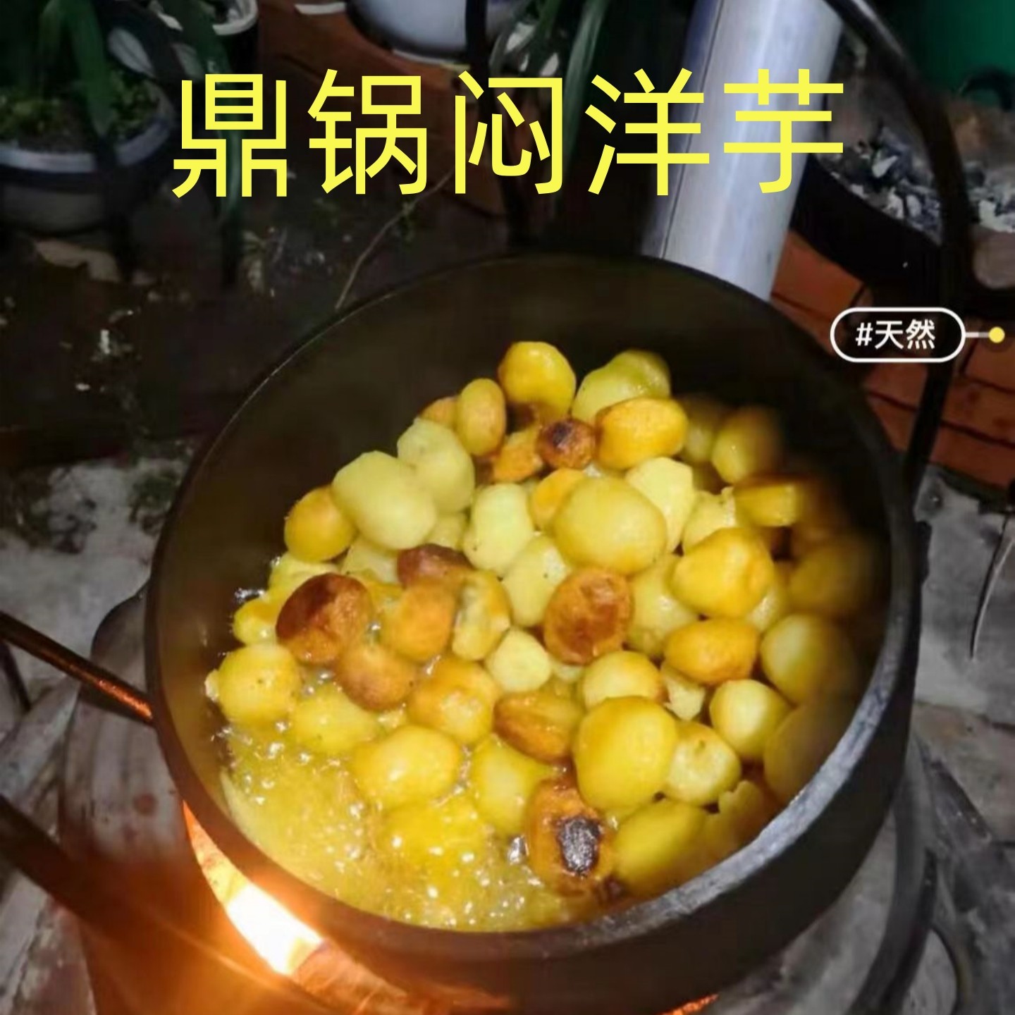 老式生铁鼎罐传统顶锅柴火煮饭吊锅家用铸铁无涂层炖锅双耳顶罐