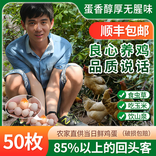 正宗农家散养土鸡蛋顺丰50枚包邮