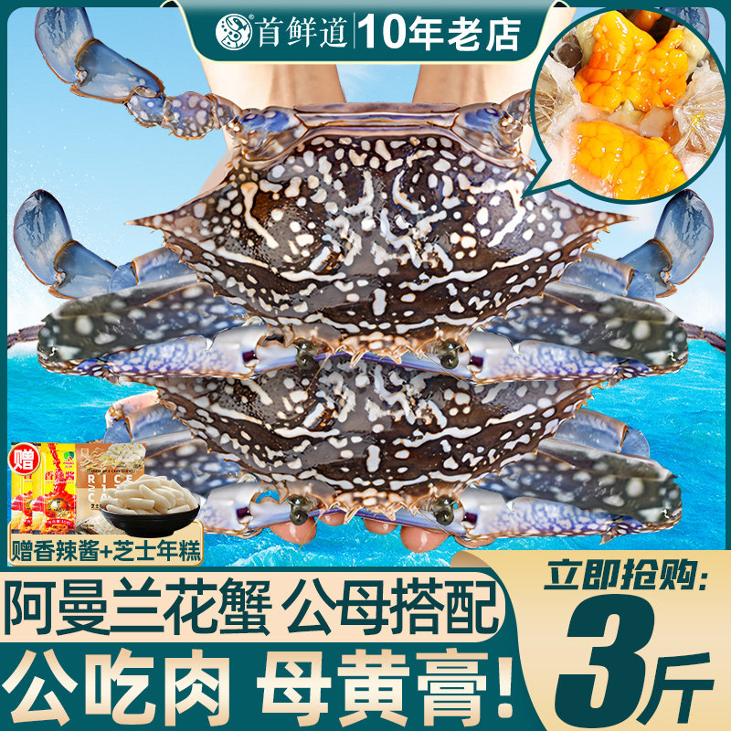 特大兰花蟹梭子蟹阿曼图片