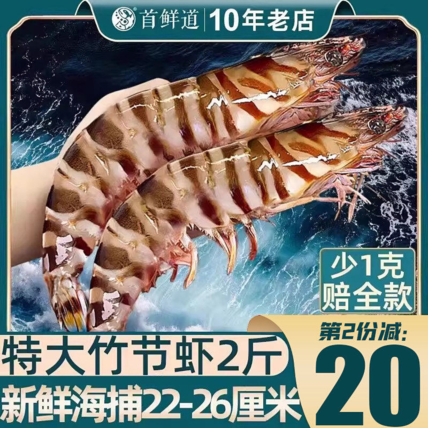 特大竹节虾九节虾无掉头