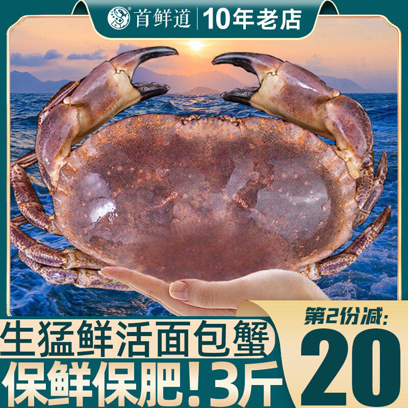 【活蟹】面包蟹鲜活超大黄金蟹母蟹鲜活帝王蟹新鲜海螃蟹特大水产
