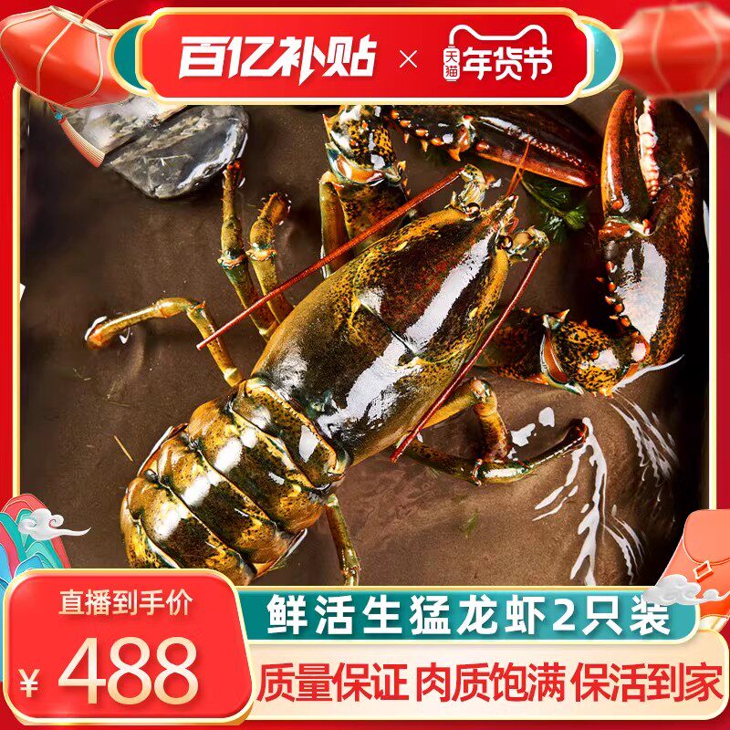 【tvb识货专属】保活波士顿龙虾500-600g/只*2鲜活海鲜水产加拿大