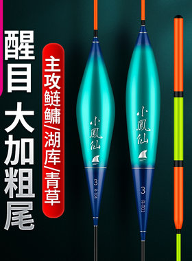 小凤仙纳米加粗尾鲢鳙漂远投打浮