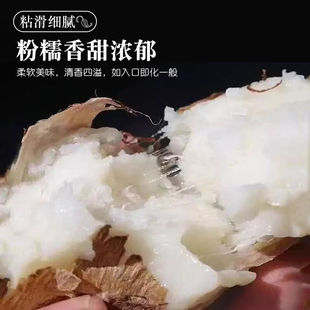 云南牛奶芋头小香斤新鲜毛芋头现挖农家自种奶油芋艿 chirs