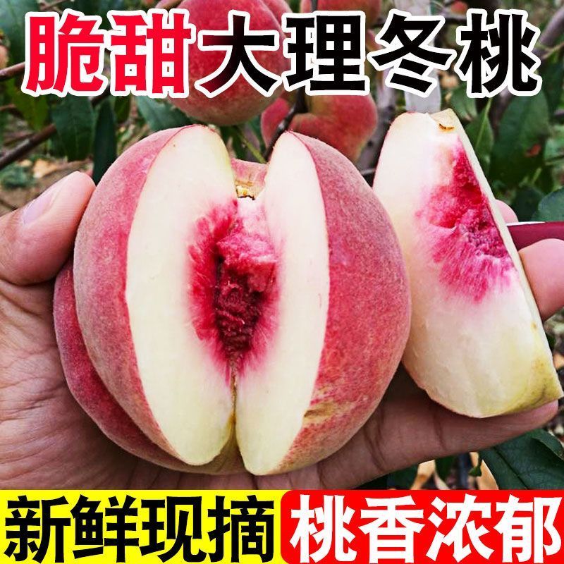 2025年云南大理正宗冬桃新鲜桃子应季水果新鲜大果冬桃 MJJ