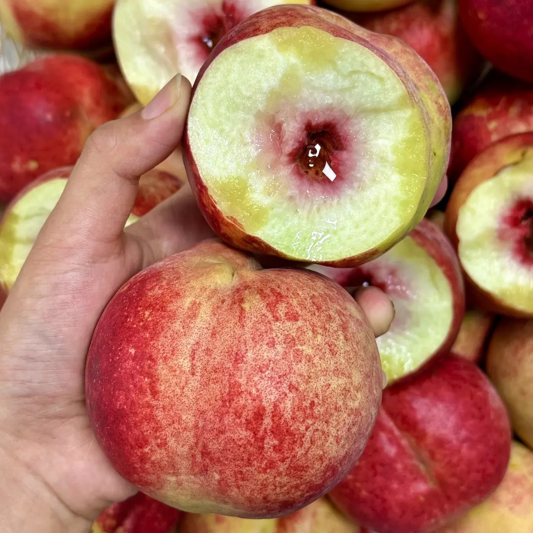 2025年云南大理正宗冬桃新鲜桃子应季水果新鲜大果冬桃 hyq