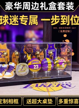 手办詹姆斯库里生日礼物