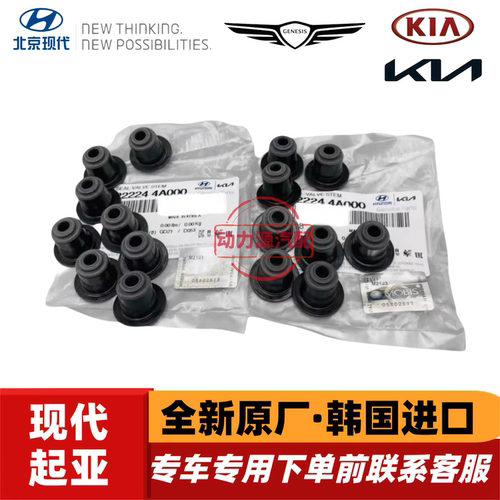 现代辉翼H-1H100/STAREX起亚索兰托K2500货车发动机气门油封