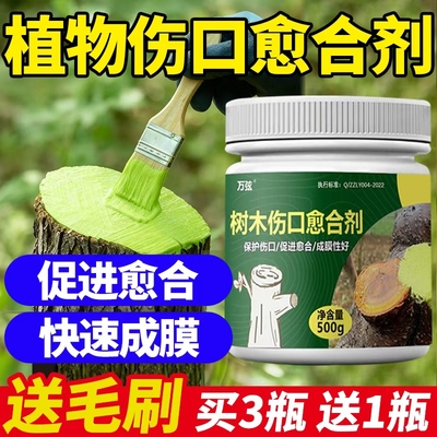 树木伤口愈合剂植物锯口愈合膏