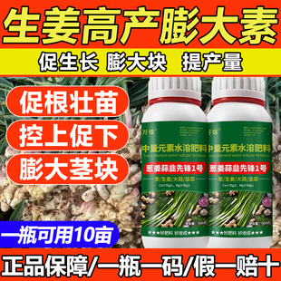 生姜专用肥洋姜膨大剂生根壮苗姜块大姜亮姜黄增产增收大姜叶面肥