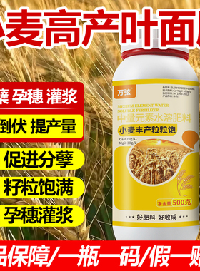 小麦高产专用叶面肥生根壮苗控旺分蘖抗倒缩节灌浆增产增收麦黄金