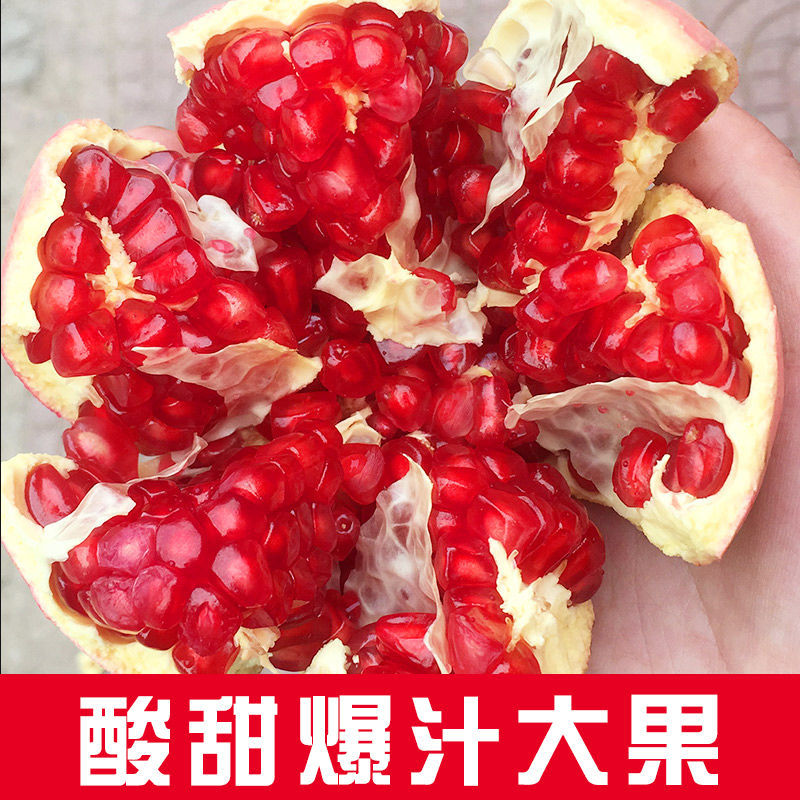现摘纯甜软籽陕西临潼石榴新鲜