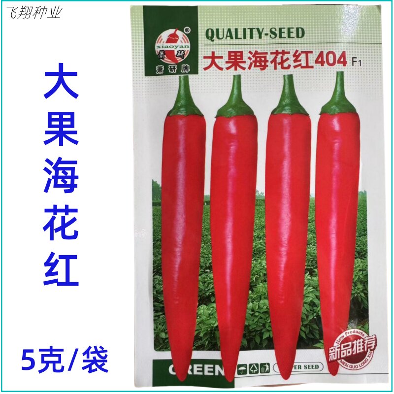 萧研大果海花红404辣椒种子美人椒青果深绿红果鲜艳春秋辣椒种孑