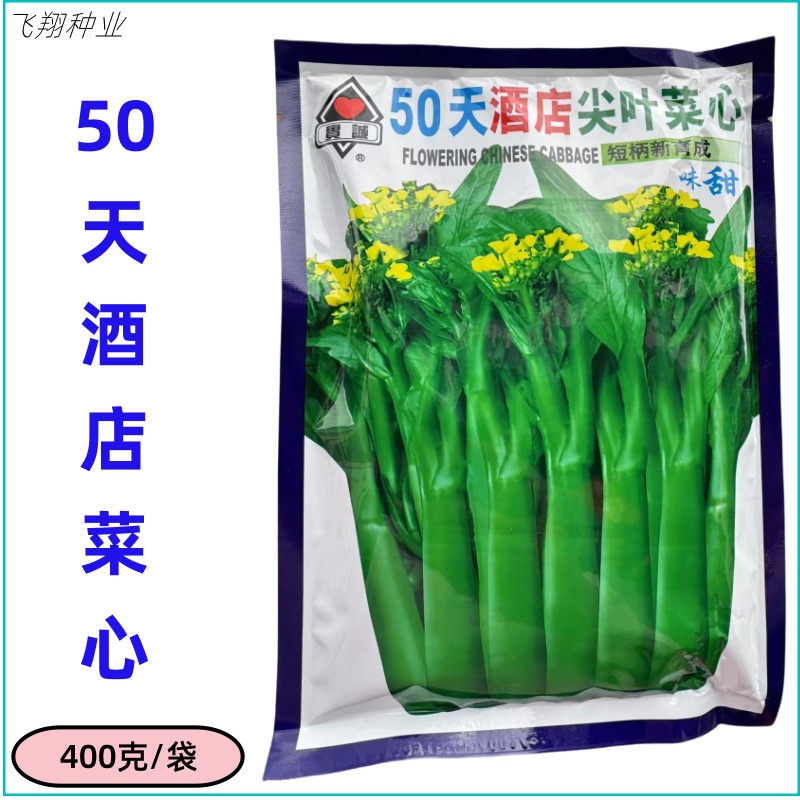 实诚50天酒店尖叶甜菜心种子矮脚脆嫩深油青小白菜四季播蔬菜种孑