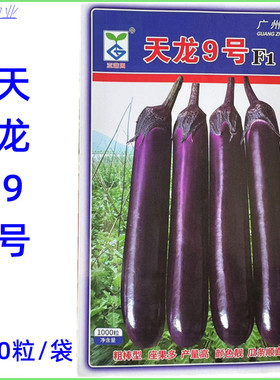 亚蔬 天龙9号茄子种子 烧烤茄   紫红长茄  高温不易褪色1000粒装