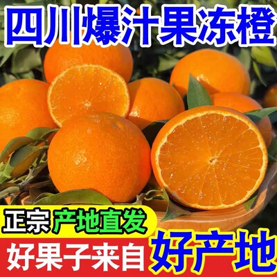 爱媛果冻橙皮薄无核爆汁果园直发