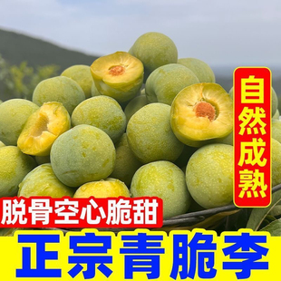 重庆万州脱骨李分水青脆李蜂糖李当季新鲜时令孕妇水果青李老品种