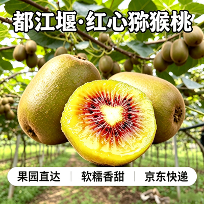 正宗四川都江堰红心猕猴桃奇异果当季新鲜纯甜多汁孕妇水果礼盒装