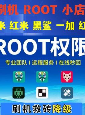 小米红米一加红魔手机root权限黑鲨远程安卓root服务框架隐藏环境