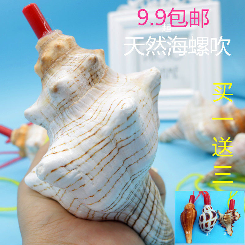 天然海螺口哨大海螺响螺号海螺贝壳工艺品创意礼物儿童玩具螺吹