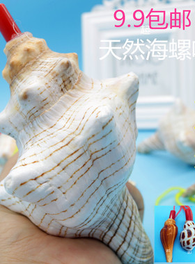 螺号创意礼物儿童玩具贝壳工艺品