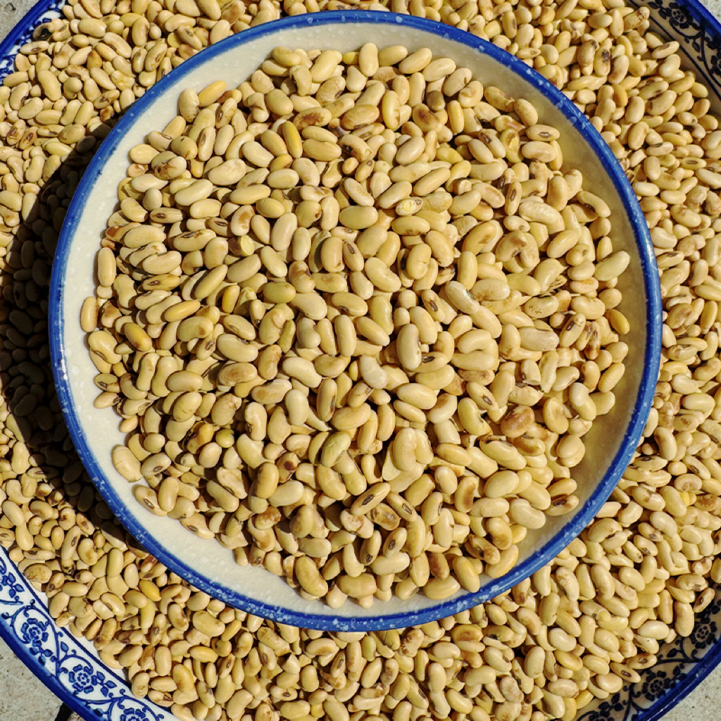 新非转基因肾形黄豆发芽豆浆专用