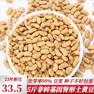 非转基因肾形黄豆 笨黄豆2500g农家自种老品种小黄豆专用豆浆豆腐