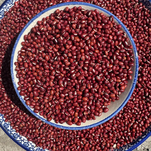 红小豆5斤农家自产请五谷杂粮