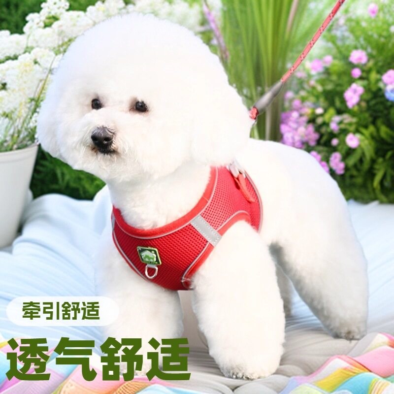 工厂牵引绳小型犬背心式狗链子博美遛狗绳胸背带幼犬比熊泰迪遛狗