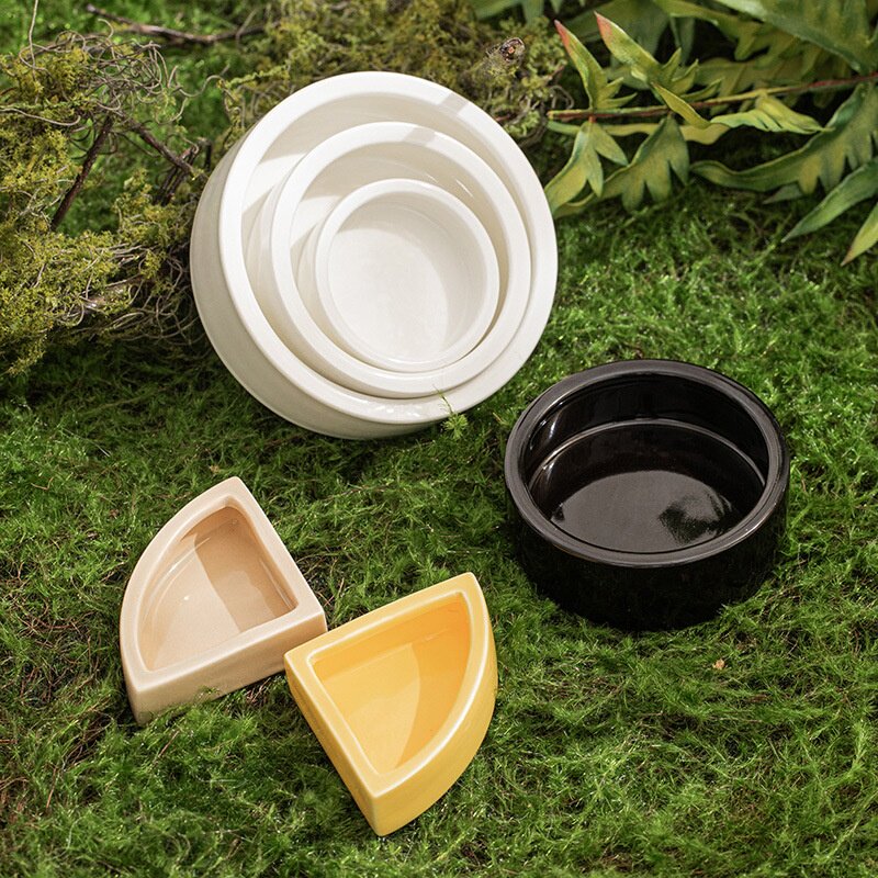 爬宠防逃逸食盆鬃狮守宫蜘蛛爬虫活体饲料面包虫大麦虫防逃脱小宠