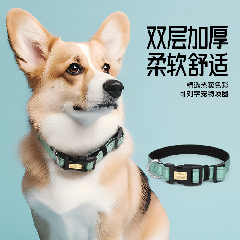 跨境狗项圈狗狗牵引绳可刻字防丢宠物项圈外出遛狗防挣脱狗狗项链