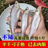 半干小刁子鱼湖南土特产益阳农家自制阳干低盐腌制小白刁餐条500g