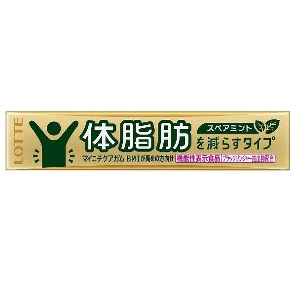 现货日本乐天LOTTE 体脂 口香糖薄荷味健身解馋