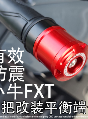 FXT适用小牛2025大师Ultra Sport Citi改装车把堵头塞子平衡端子
