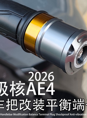 适用极核2026年 AE4 Pro2+ Max2 SE改装车把平衡端子堵头塞子配件