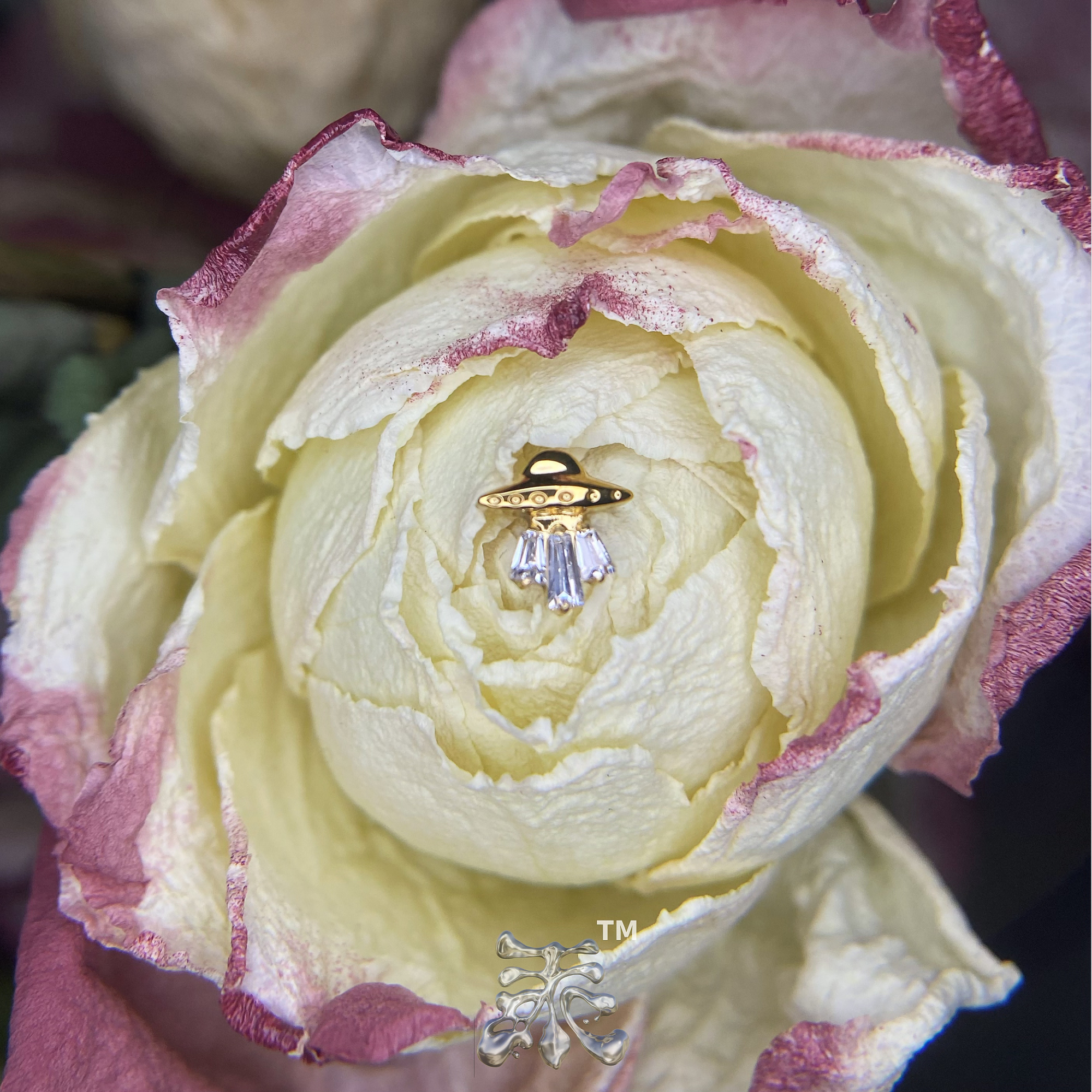 镀金锆石UFO小飞碟耳钉 16/18g螺纹端植入级钛合金原创设计防过敏