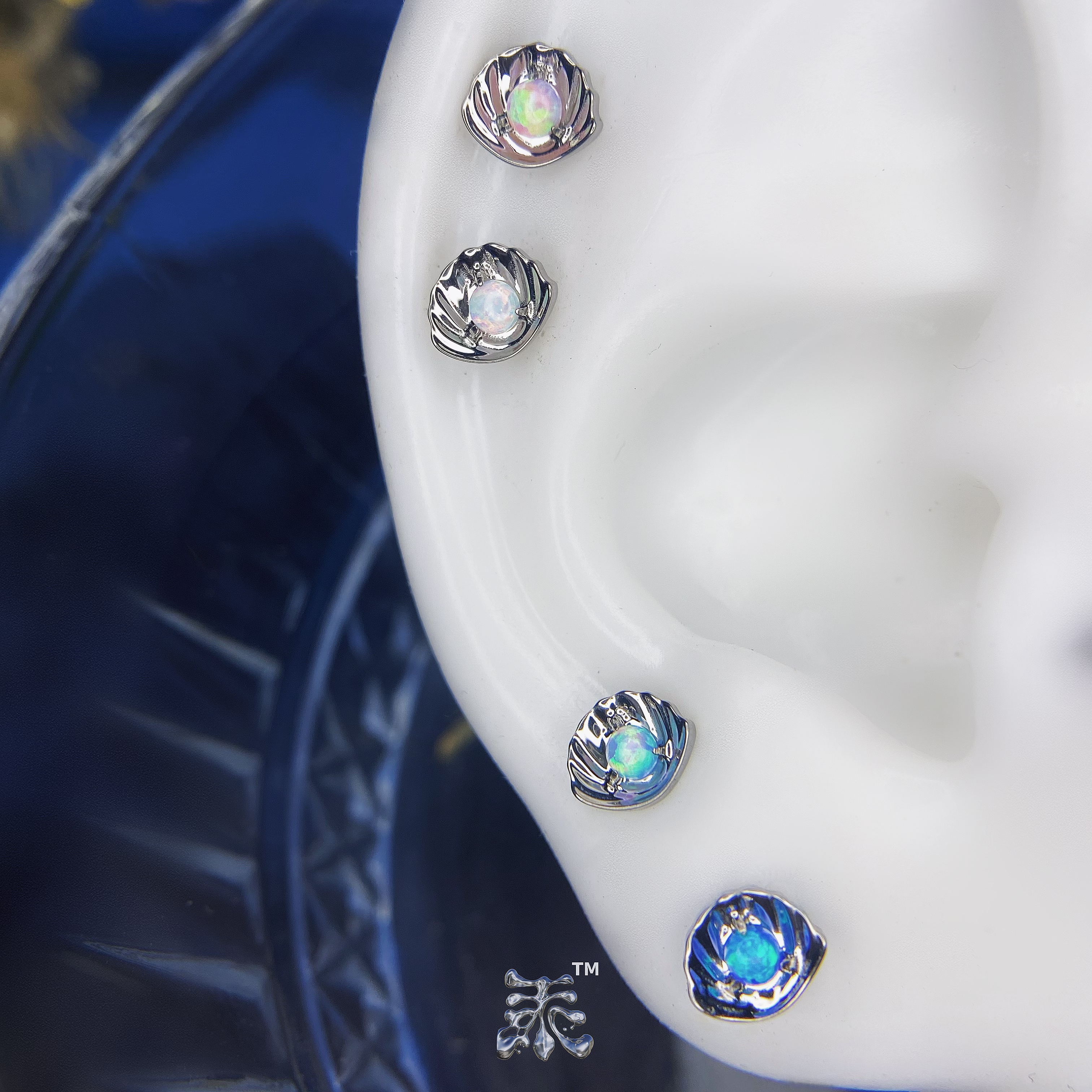 欧泊小贝壳耳钉f136植入级钛合金穿刺饰品小众设计睡觉免摘防过敏