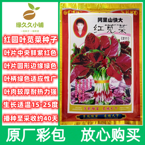 红圆叶苋菜种子圆叶速生蔬菜种子盆栽农家菜地均可种耐热肉厚味好