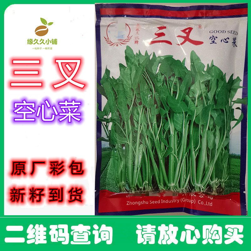 三叉高产空心菜种籽子大叶大田水陆种植四季青菜种子蔬菜种孑籽种