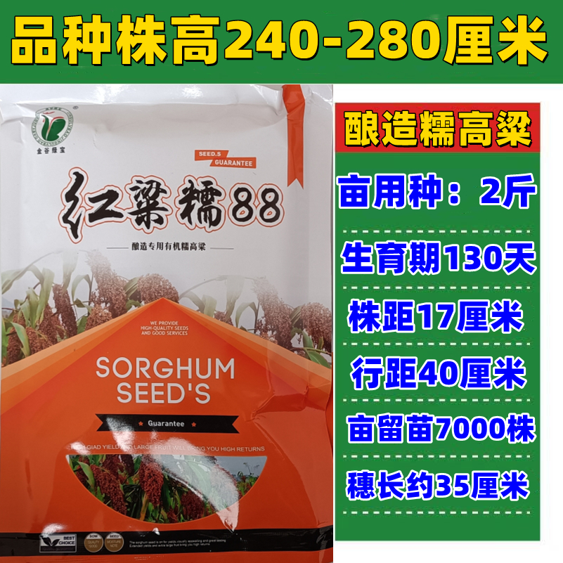 红梁糯88红缨子高粱种子酿酒用高粱种糯高粱高产红糯抗旱五谷杂粮