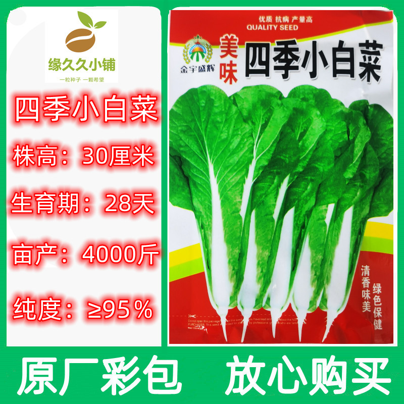 四季小白菜种子田园阳台四季种植抗热耐寒速生易种奶油快菜青菜籽