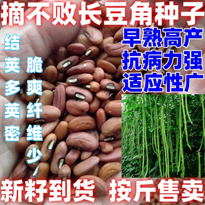摘不败长豇豆种子摘不败青条长豆角种籽田园易种四季蔬菜种孑