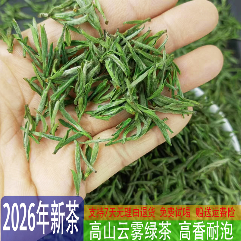 2026年新茶高山岳西翠兰茶叶绿茶
