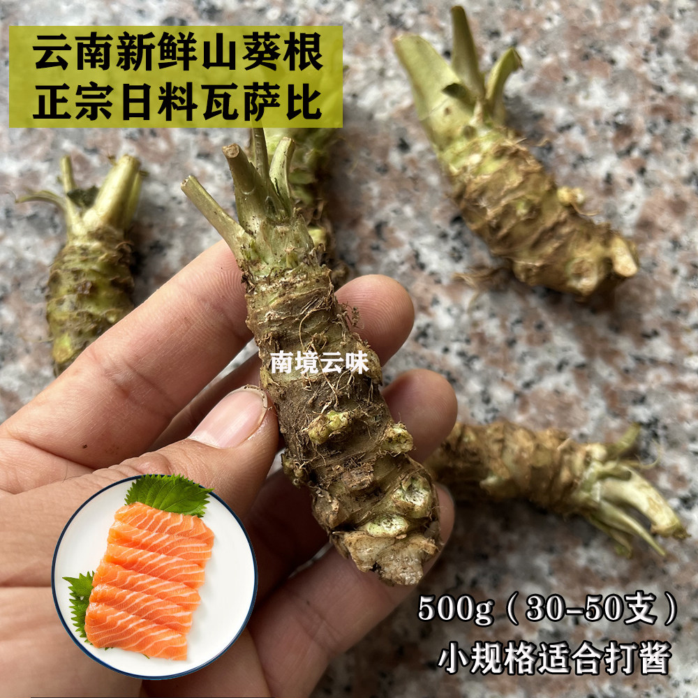 新鲜山葵根500g小规格适合打酱 刺身调味料 现挖3天内发货送磨板