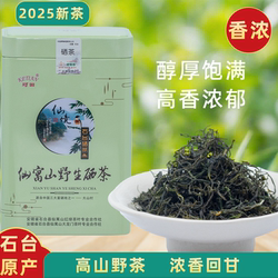 2025茶叶 石台富硒茶 仙寓山野茶 高山绿茶 醇厚送长辈罐装250g
