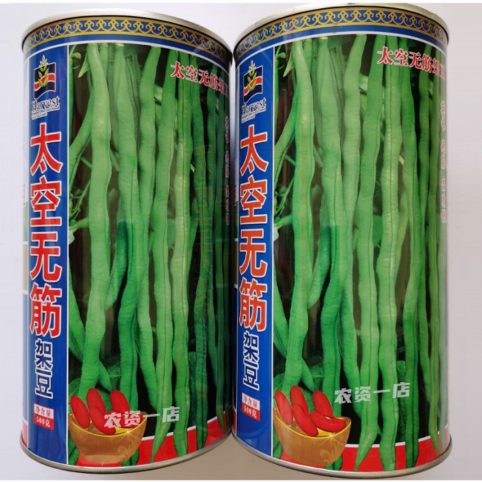 太空无筋架豆种子泰国架豆王无丝豆角种籽春秋季特长豆角蔬菜种籽