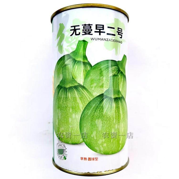 无蔓早二号南瓜种子早熟圆球型嫩南瓜种籽无藤短蔓菜南瓜嫩瓜种子