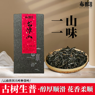 布都茶社龙潭山古树生普盒装散茶叶花香柔顺大杯也甘甜普洱